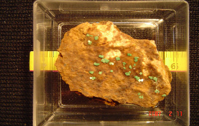 wp570f652e_0f.jpg