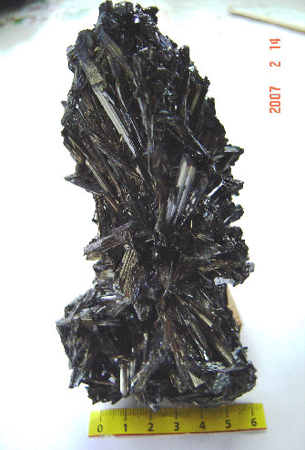 wp59196bb4_0f.jpg