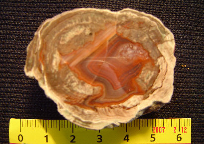wpc9c05e33_0f.jpg