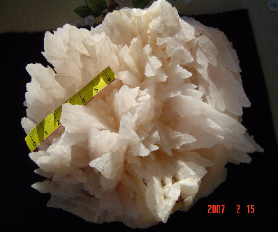 wpd314fe46_0f.jpg