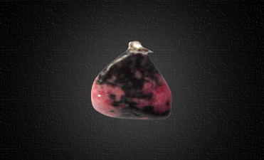 Rhodonite